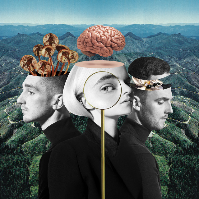 Imagen del cover del álbum What Is Love?